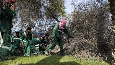 The storm on Wednesday left debris scattered across Abu Dhabi. Delores Johnson / The National