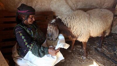A Palestinian woman feeds a sheep in a tent in Yatta, West Bank. Abed Al Hashlamoun / EPA