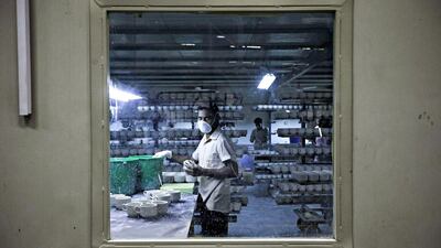 Workers at the production line of the Porcelain section at RAK Ceramics. Jaime Puebla / The National