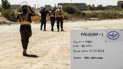Halo deminers at work in Fallujah, where there is a minefield six miles long and about 200m deep. The Halo Trust
