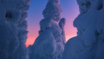 Roberto Pavic, Croatia, winner, Regional Awards, Sony World Photography Awards 2023