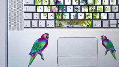 Laptop stickers such as Decosticker's Parrot Mac, £18 (Dh 107), might help deter grime, but keyboards still should be cleaned regularly and thoroughly.