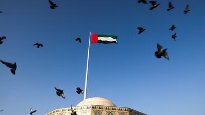 Pigeons fly near the UAE flag along the Corniche in Abu Dhabi. Victor Besa / The National