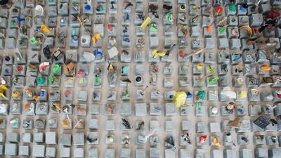 Courtesy NYU Abu Dhabi