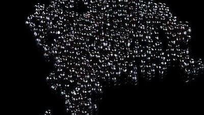 In the wild, it can take more than 10 years for a fish to produce caviar.