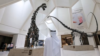 Natural History Museum Abu Dhabi is marking Dino Month in June with themed workshops, family activities and the final weeks of March of the Triceratops exhibition. Victor Besa / The National
