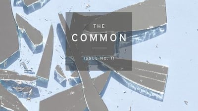 The Common No.11: Tajdeed: Contemporary Arabic Stories features 25 stories by writers from 15 Middle Eastern countries, translated into English. The initiative will be discussed at NYUAD on Thursday.