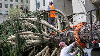 The new tree from Queensbury, New York, is 25 metres tall and weighs 14 tonnes. EPA