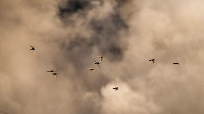 Smoke rises following an Israeli air strike on the outskirts of Yaroun on the Lebanese border on Sunday. AP
