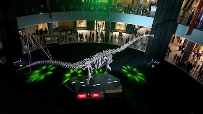 The 155 million-year-old dinosaur skeleton at the Dubai Mall needs a name, and the best suggestion will win a prize. Satish Kumar / The National