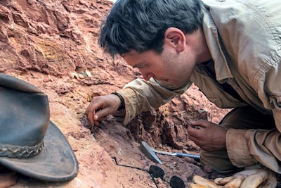 Nizar Ibrahim excavating fossils in the Sahara. Nanni Fontana