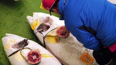 A prospective buyer inspects the quality of a frozen tuna before the first auction of the year at the newly opened Toyosu Market in Tokyo. AP