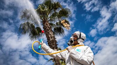 A Moroccan health ministry worker disinfects a street in the capital Rabat on March 22, 2020. AFP