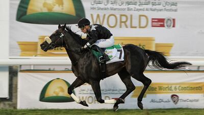 Af Maqayes ridden by Tadhg O'Shea wins the Wathba Stud Farm Cup Championship at the Abu Dhabi Equestrian Club in March 2016. Courtesy: Morhaf Al Assaf