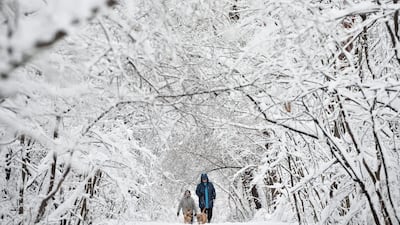 People walk with dogs through a park during snowfall in Sofia, Bulgaria. Vassil Donev / EPA