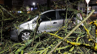 A tree blown over by the wind landed on a car in Bromley, Kent. PA