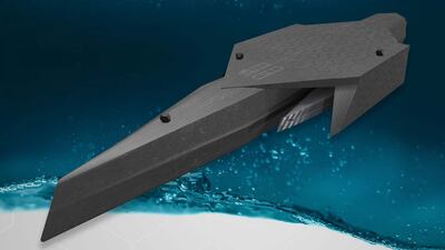 The navy's future fleet also includes a 'surface combatant mother ship'.