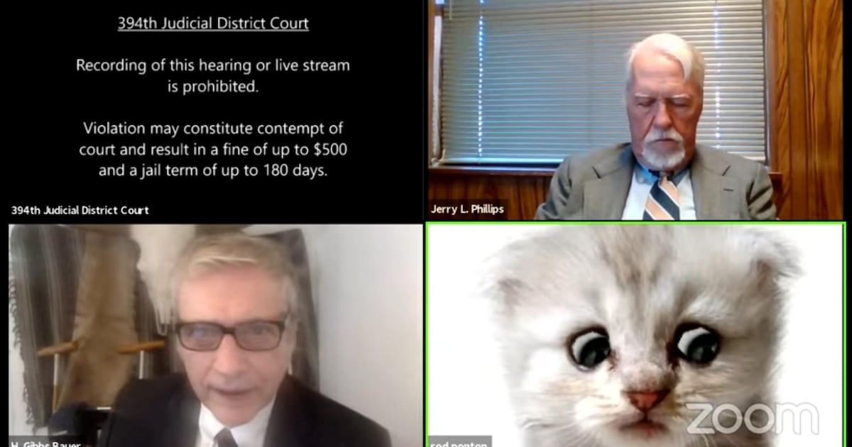 Videoconference Fails The cat, the lawyer and 8 other hilarious Zoom mishaps and video ...