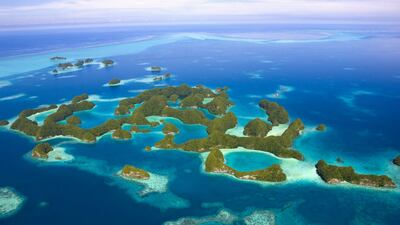 Palau has more species of marine life than any other area of similar size in the world and also the highest concentration of marine lakes – unique biospheres that have been separated from the ocean by land barriers and continue to yield discoveries of new species. Photo: Charly W Karl / Flickr