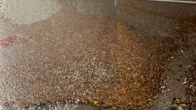 Flooding near Auckland Airport. Reuters