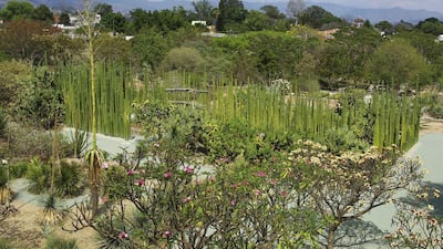 The Oaxaca Ethnobotanical Garden in Oaxaca, Mexico. iStockphoto.com