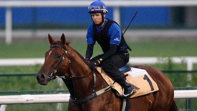 Sepoy gets a workout at Meydan Racecourse