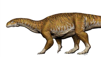 Reconstruction of Ingenia prima from the Late Triassic period with a total length of eight to 10 metres. Jorge A. Gonzalez / Reuters