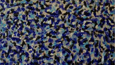 Courtesy NYU Abu Dhabi