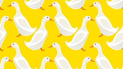 Duck Parents may act like everything is no big deal, but really they are paddling furiously to ensure their child succeeds. Getty Images