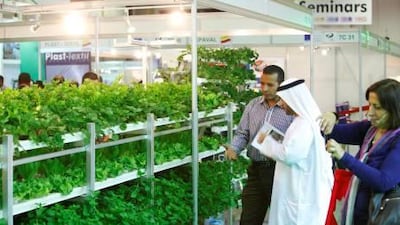Visitors look at the layered hydro growth display at the 2012 AGRAME exhibition held at Dubai World Trade Centre yesterday.