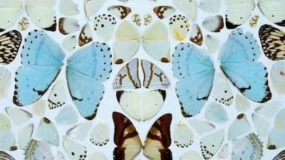 Damien Hirst's Sympathy in White Major - Absolution II 2006.