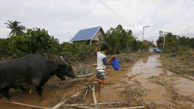 A man tends to his water buffalo amidst the debris that litter a road, two days after Typhoon Koppu battered Cabanatuan city and nearby provinces, in the northern Philippines. Slow-moving Typhoon Koppu blew ashore with fierce wind in the northeastern Philippines early Sunday, toppling trees and knocking out power and communications and forcing the evacuation of thousands of villagers. Bullit Marquez / AP