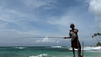 A stilt fisherman shows his catch. The men use fishing rods made of local wood called kithul to catch small fish