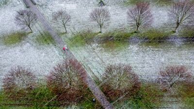 Snow falls in a park in Frankfurt. AP