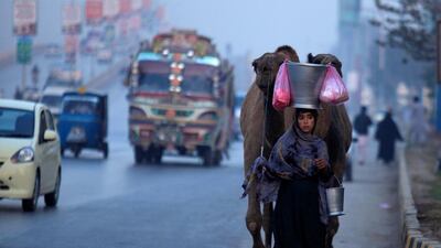 A girl leads her camels as she sells fresh camel's milk on the GT road Peshawar, Pakistan. Fayaz Aziz / Reuters
