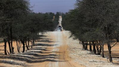 An experimental demonstration site for a project studying the water requirements of ghaf trees at the Khab Al Dahs forest, near Madinat Zayed in Abu Dhabi’s Western Region. Ravindranath K / The National
