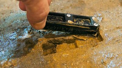 The iChip device, developed by scientists at Northeastern University, Boston, allows bacteria to grow in its natural environment but to be isolated and studied at the same time. Slava Epstein / Northeastern University