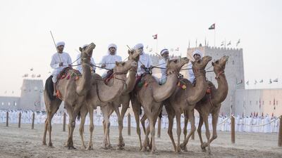 The performances held in honour of King Salman included a poetry recitation of welcome and praise, horse and camel stunts featuring the UAE and Saudi flags, and the long tribal march with participants from across the emirates. Hamad Al Kaabi / Crown Prince Court - Abu Dhabi