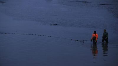 Fishermen pull their net full of carps in Erlangen, Germany. Carps are a traditional food in Germany around the Christmas time and New Year. Matthias Schrader / AP Photo