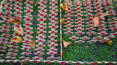 Wooden remembrance crosses at the 97th Field of Remembrance at Westminster Abbey in London. AP
