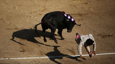 A matador’s assistant is tackled by a bull during a bullfight at Peru’s historic Plaza de Acho bullring in Lima. Guadalupe Pardo / Reuters