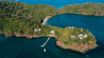 Go whale watching on Islas Secas in Panama. Photo: Beyond Green