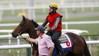Game On Dude on the track for morning workout at the Meydan Racecourse. Mike Young / The National