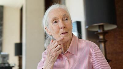 Delores Johnson / The National