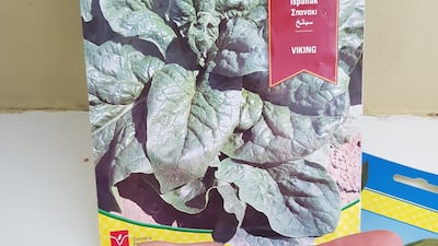 Step 5: Decide what seeds to use. Here I picked shop-bought spinach, but old pips and seeds from your fruit can be used, too.