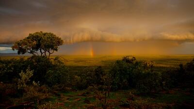 Since the start of the global pandemic, cancelled tourism bookings in the Mara’s community conservancies in Kenya have already topped $5m. A rainbow appears in storm clouds over the Masai Mara reserve, Kenya. WWF