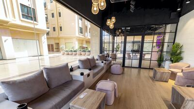 The area features an inside area with the cats and an outer area where guests can watch the animals through glass.