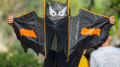 The annual kite festival at Abu Nawas park in Baghdad gets under way. AFP