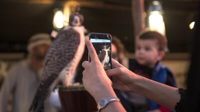 The Qasr Al Hosn Festival is the perfect place to learn how falcons became such an essential part of the local culture and came to feature so prominently as a national tradition. Vidhyaa for The National