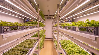 Vegetables are grown in compact towers using aeroponics, with an air or mist environment rather than soil. Photo: LettUsGrow